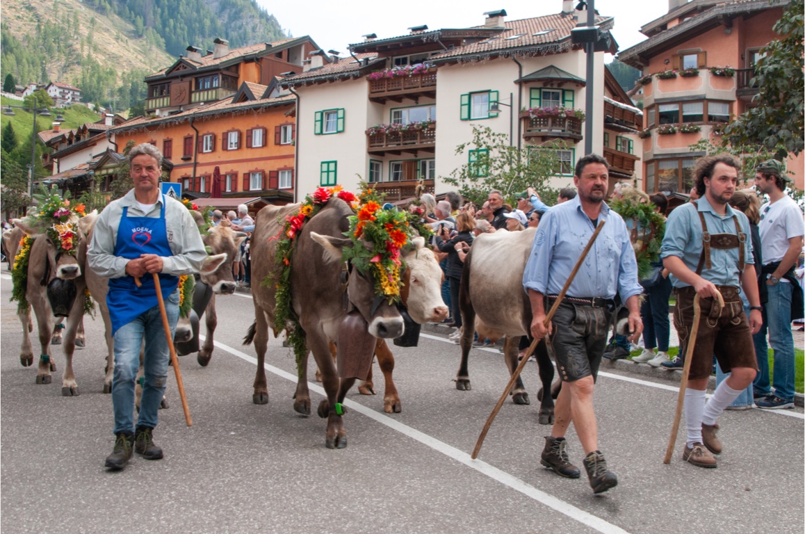 La desmontegada della Val di Fassa