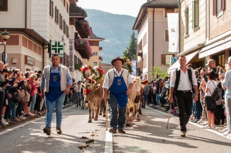 Desmontegada Predazzo … Presenti!