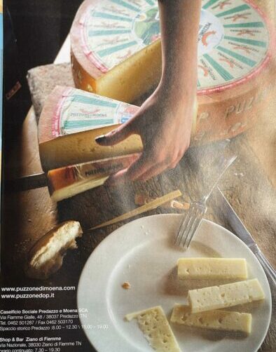 Pasta al forno con Puzzone di Moena