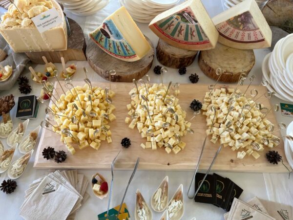 Sostenibilità del settore lattiero-caseario