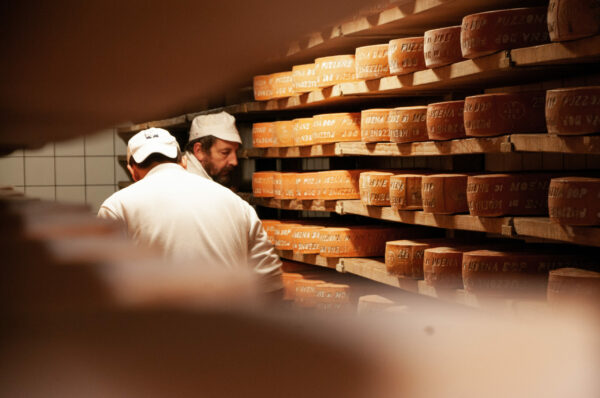 Caseificio Sociale di Predazzo e Moena: un mix di tradizione ed innovazione