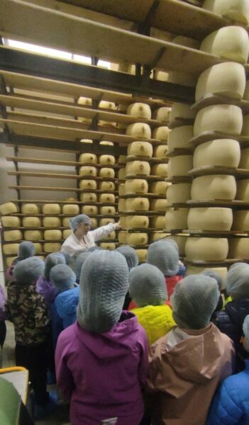 Il Caseificio al fianco delle scuole…