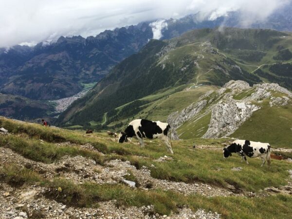 Riaperture delle malghe…