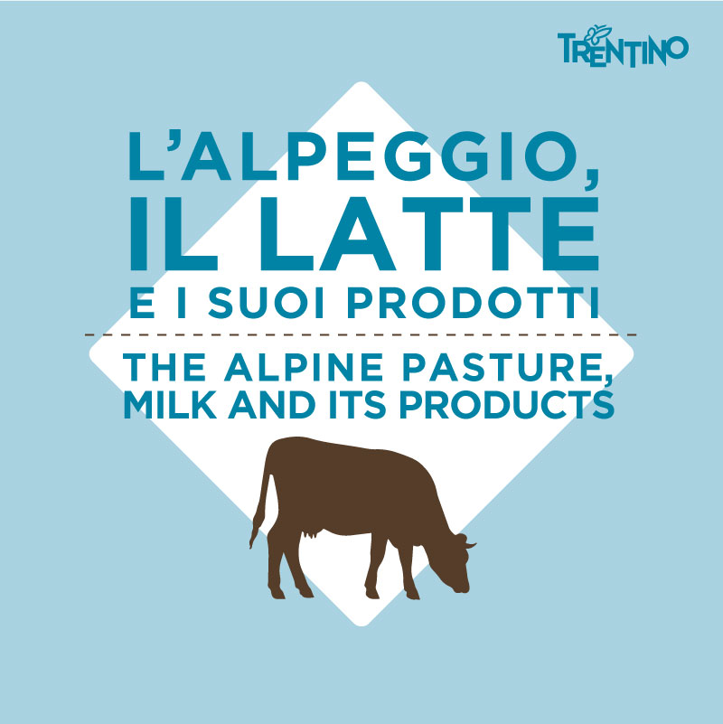 The alpine pasture, milk and its products