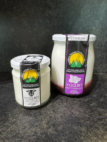 Irrompe sul mercato lo yogurt “nostrano”