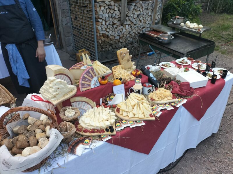 Cena tra le vigne…