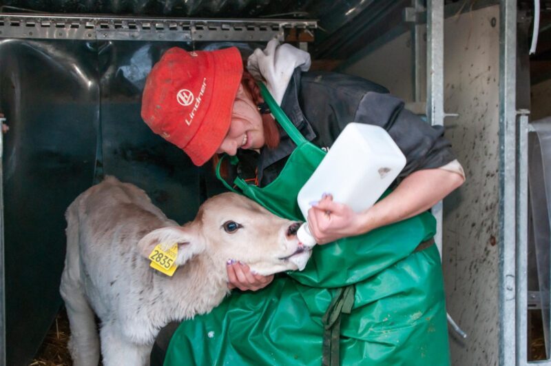 I giovani e l’imprenditoria rurale-montana